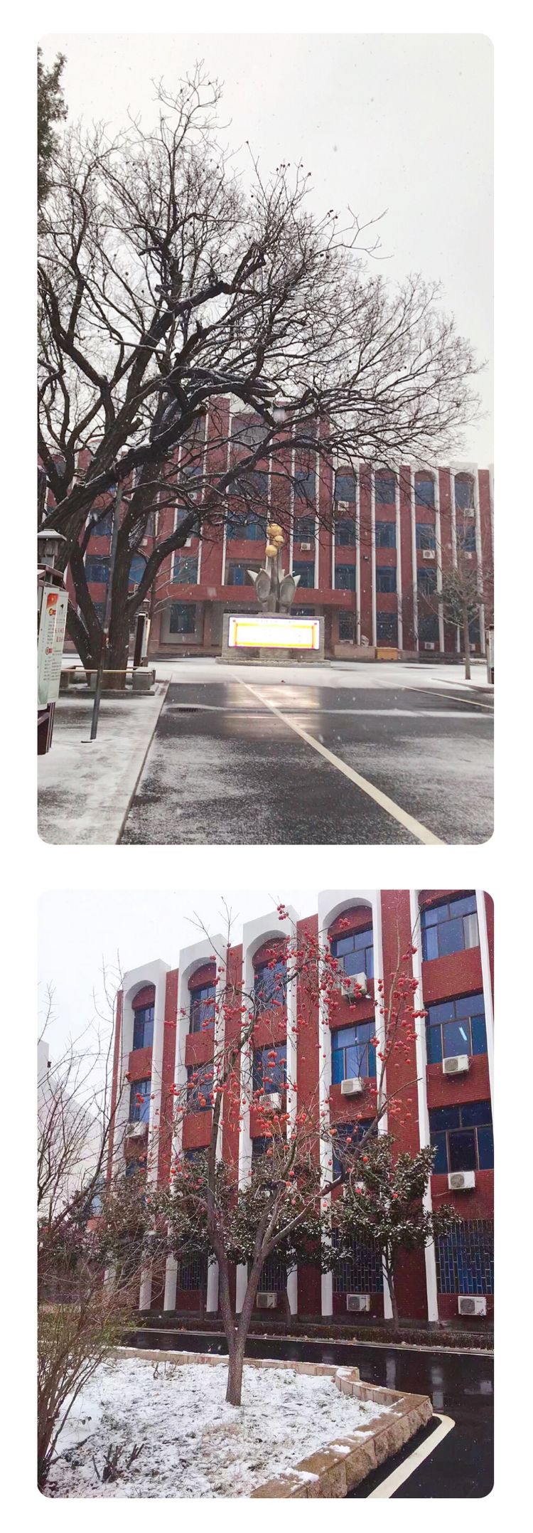 钻坚仰高 脚踏实地 潍坊广文中学潍坊文华学校英语学科个人教学法展示第二场评选纪实